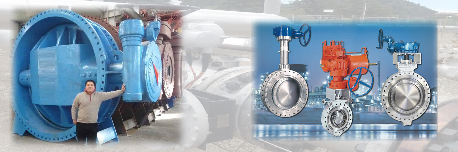 Butterfly Valve